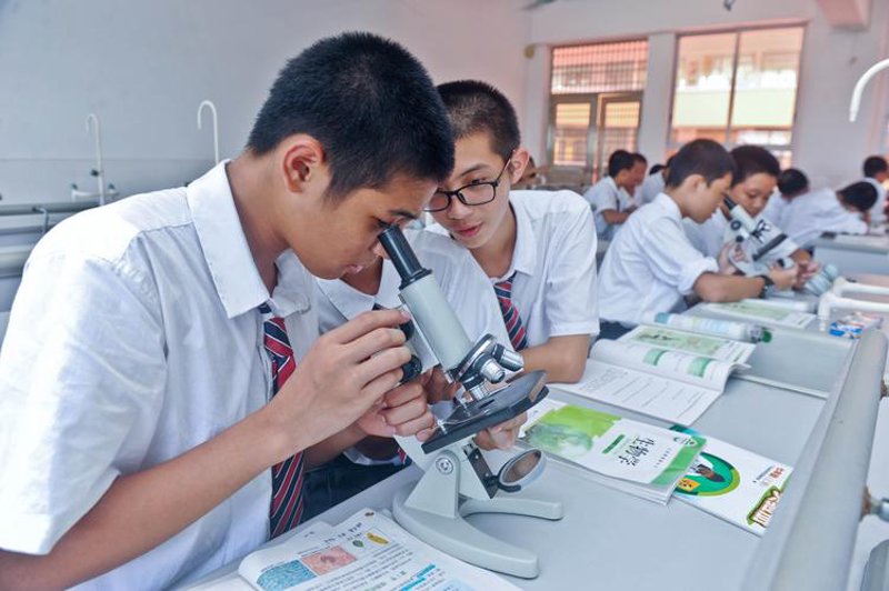 激发未来之星的思维火花:少儿思维课程引领智慧成长